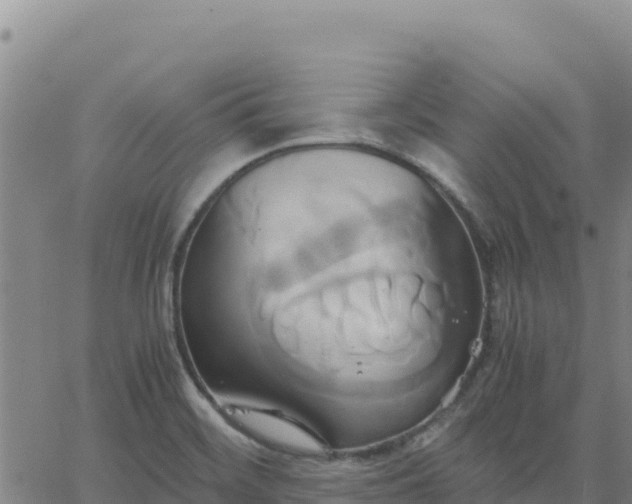 X0000063471468200601271617