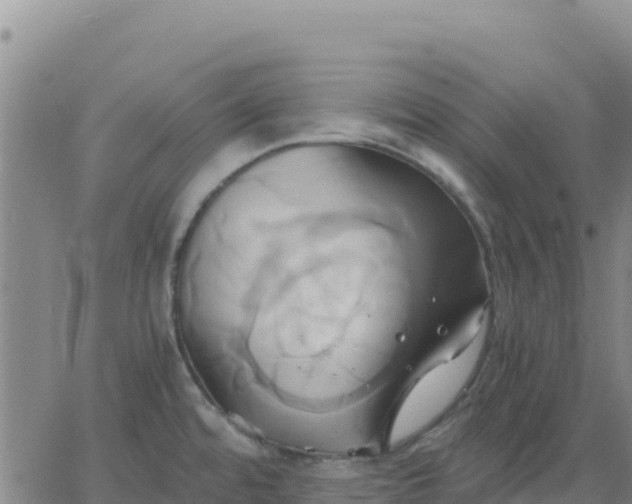 X0000063471480200601271617