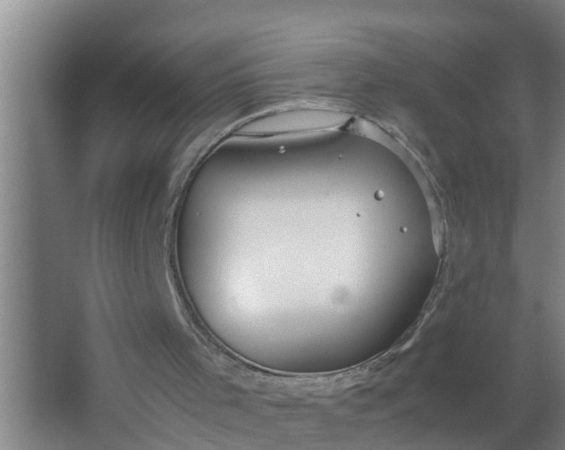 X0000063470001200602031912