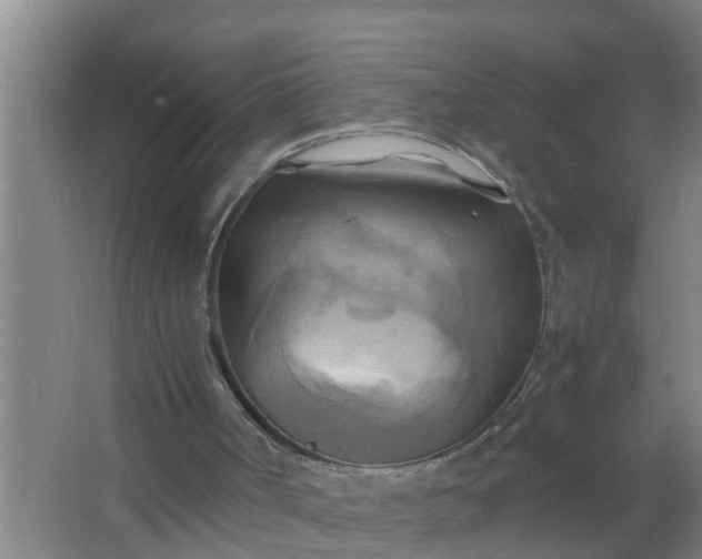 X0000063470002200602031912