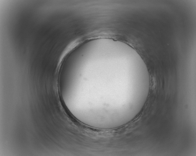 X0000063470004200602031912