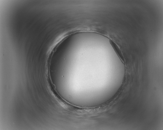 X0000063470005200602031912