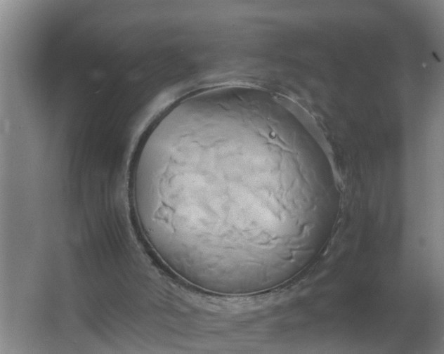 X0000063470006200602031912