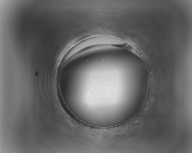 X0000063470007200602031912