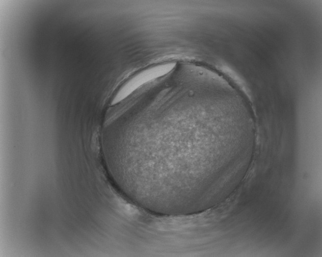 X0000063470009200602031912