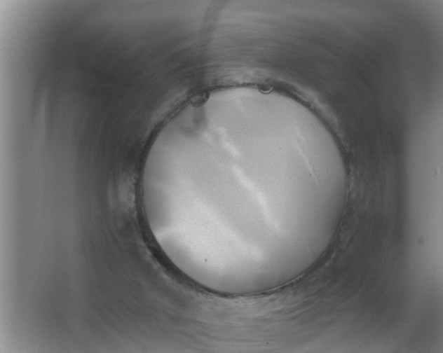 X0000063470010200602031912