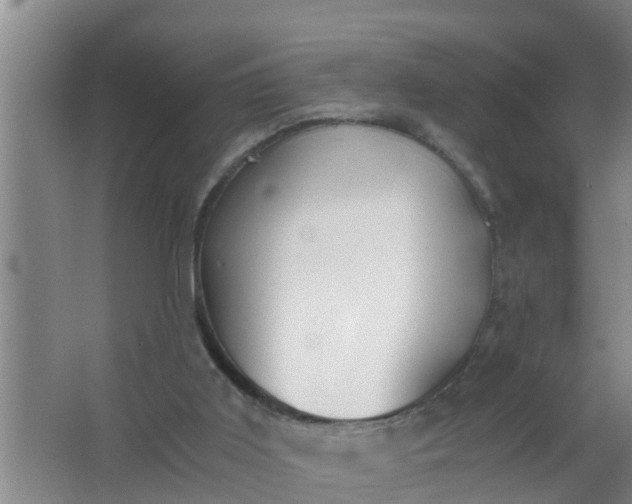 X0000063470011200602031912