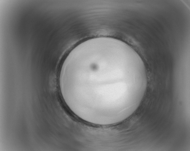 X0000063470012200602031911