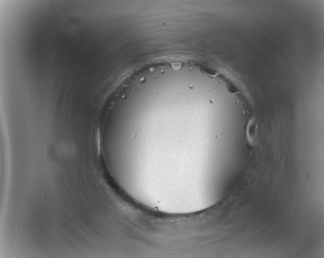 X0000063470013200602031911