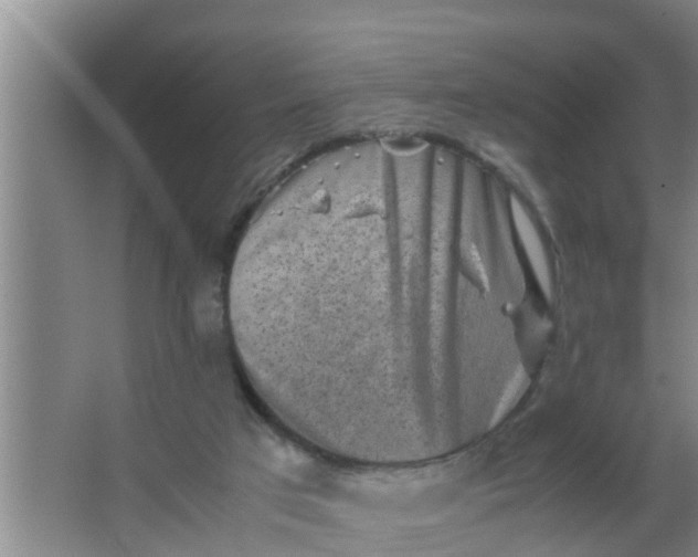 X0000063470017200602031911