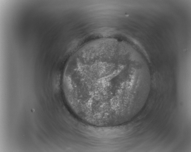 X0000063470018200602031911