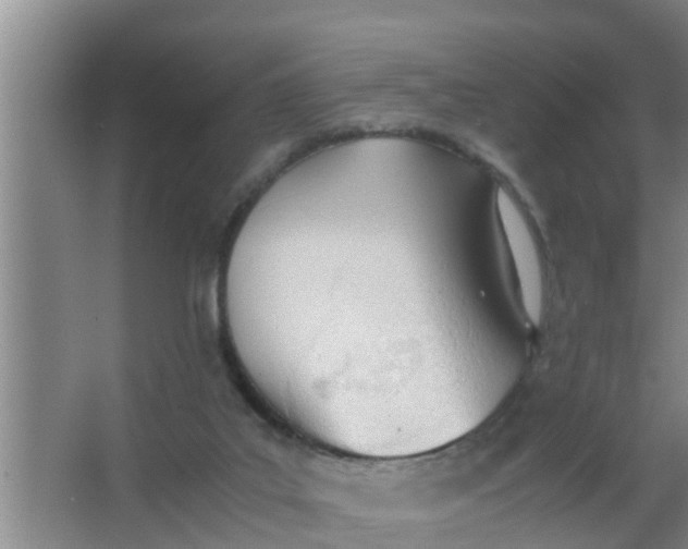 X0000063470019200602031911