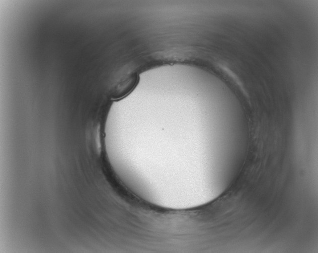 X0000063470020200602031911