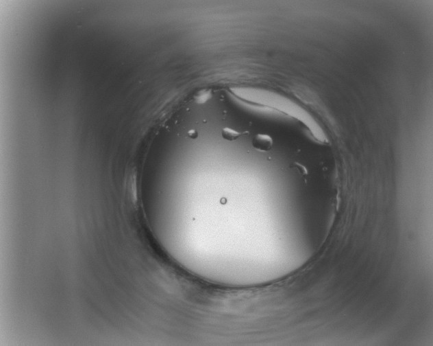 X0000063470021200602031911