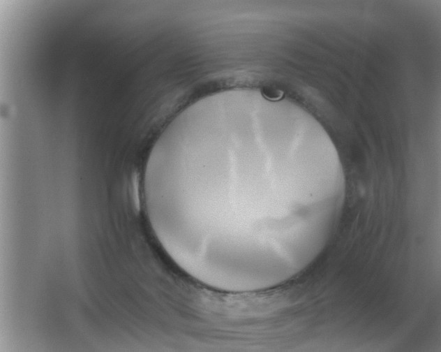 X0000063470022200602031911