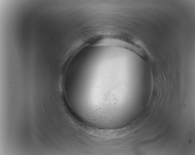 X0000063470023200602031911