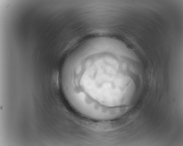 X0000063470024200602031911