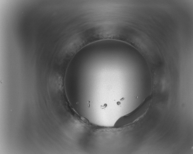 X0000063470025200602031911