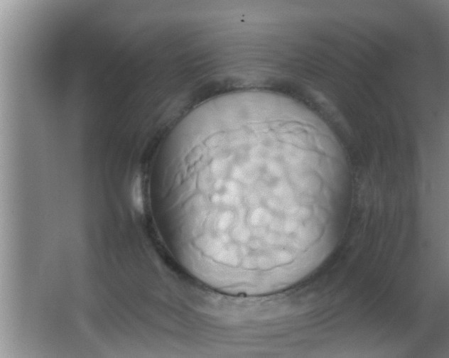 X0000063470026200602031911