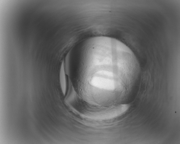 X0000063470027200602031911