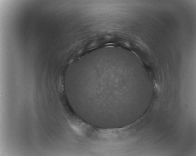 X0000063470029200602031911