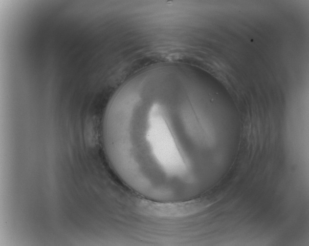 X0000063470030200602031911