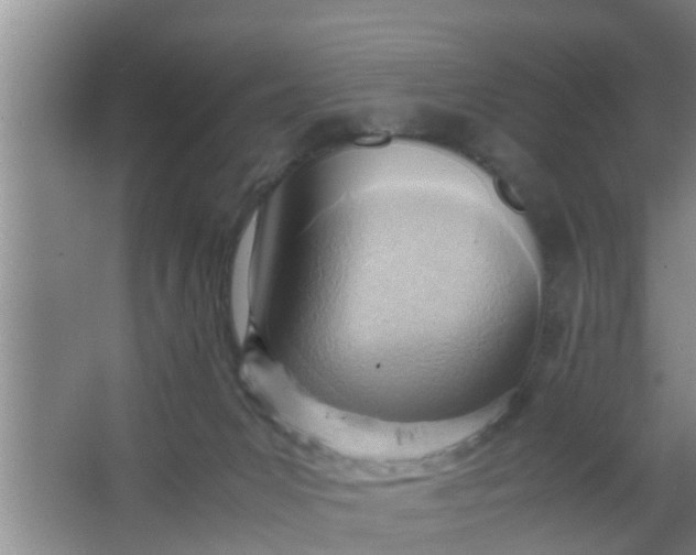 X0000063470031200602031911