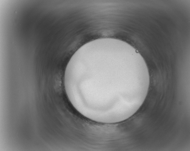 X0000063470032200602031911