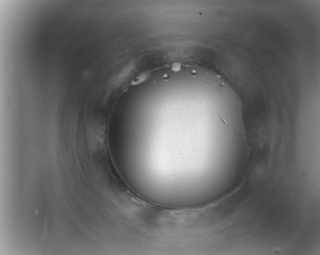 X0000063470033200602031911