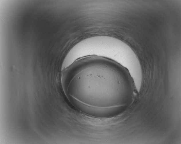 X0000063470035200602031911