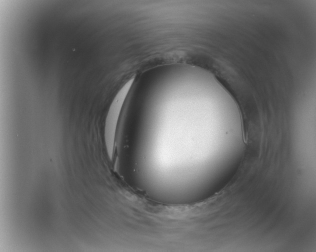 X0000063470037200602031911