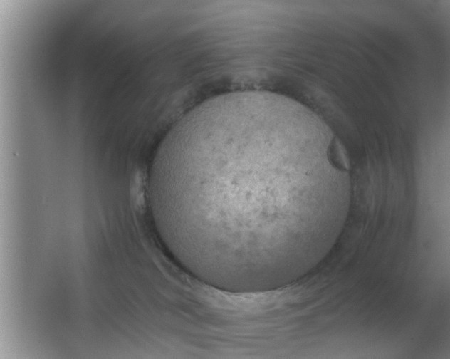 X0000063470038200602031911