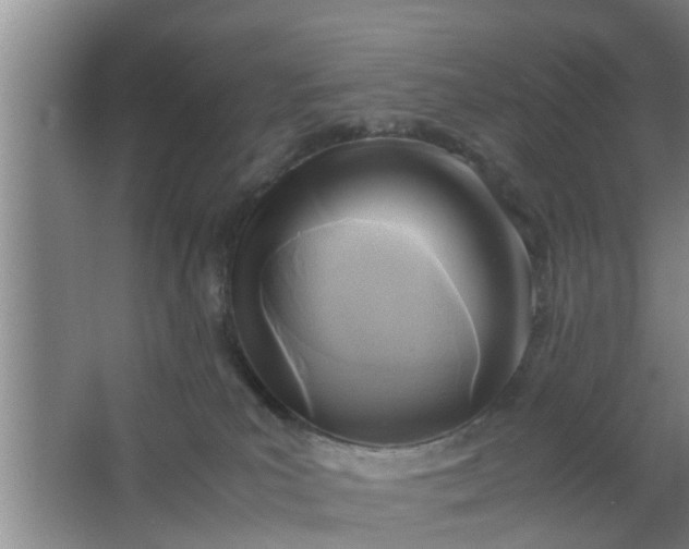 X0000063470039200602031911