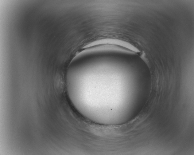 X0000063470040200602031911