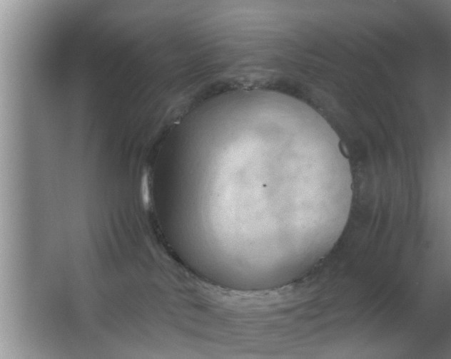 X0000063470042200602031911