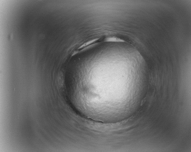 X0000063470043200602031911