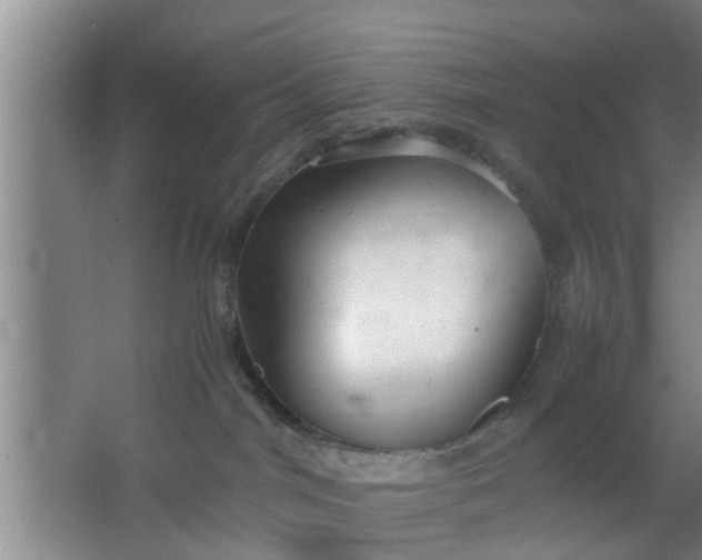 X0000063470044200602031911