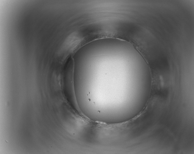 X0000063470045200602031911