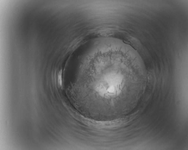 X0000063470046200602031911