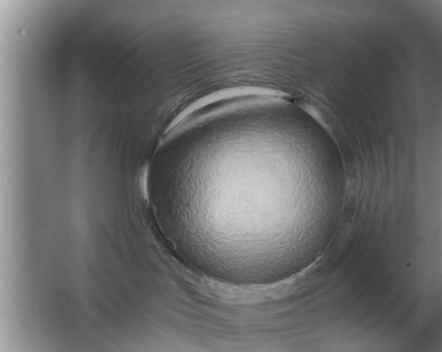 X0000063470047200602031911