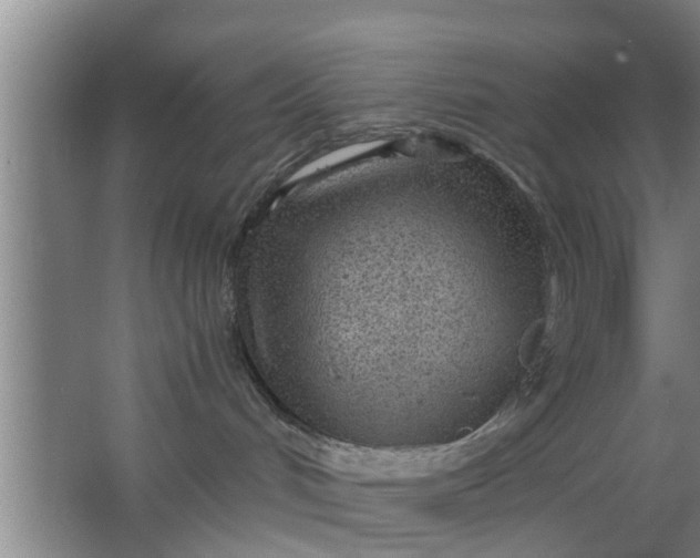 X0000063470048200602031911