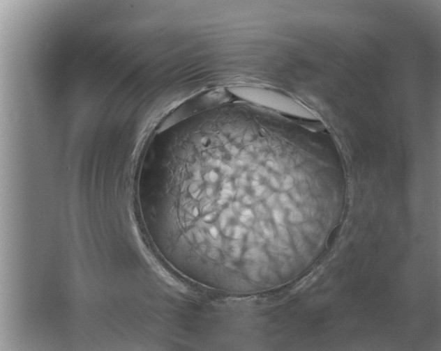 X0000063470049200602031910