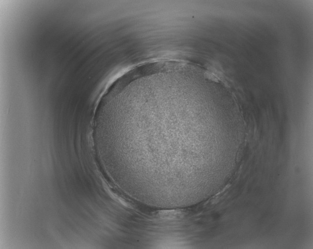 X0000063470050200602031910