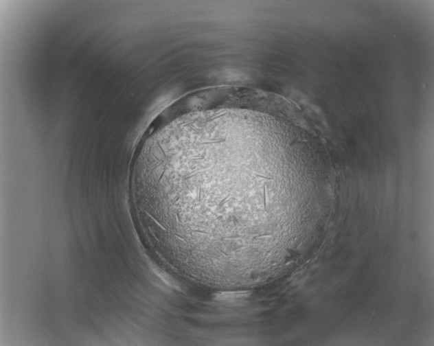 X0000063470051200602031910