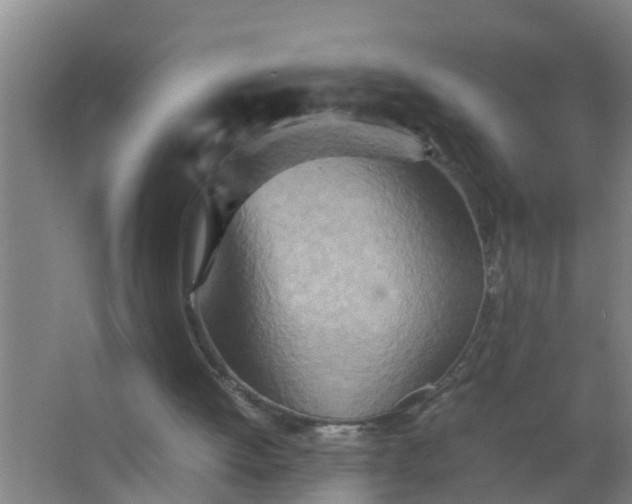 X0000063470052200602031910