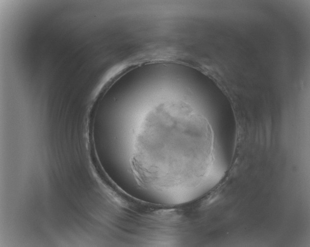 X0000063470054200602031910