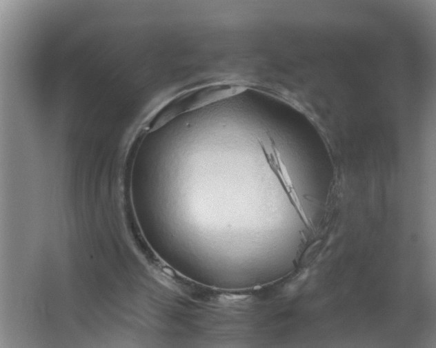 X0000063470055200602031910