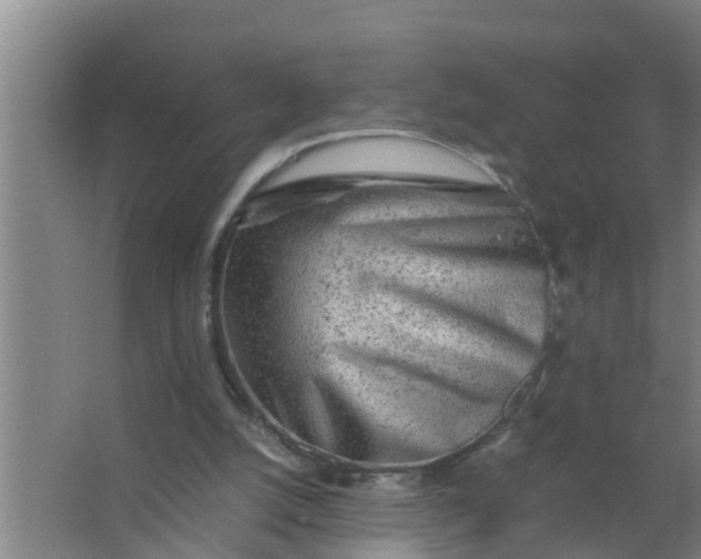 X0000063470056200602031910