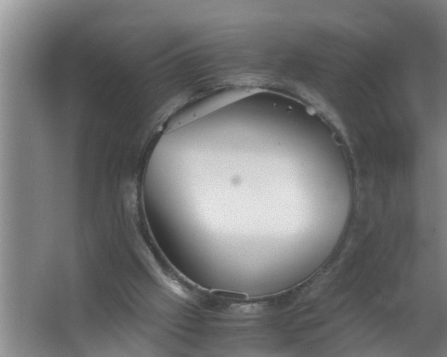 X0000063470057200602031910