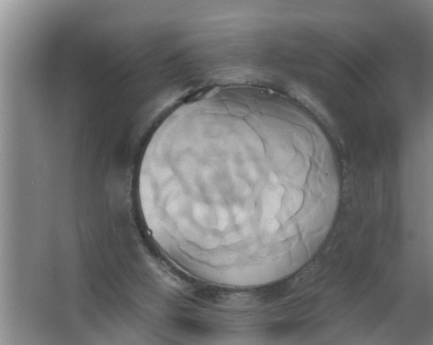 X0000063470058200602031910